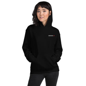 Racing embroidery  Unisex Hoodie - Shop Glamorous, gray diamond, Anew idea Apparel and Accessories online - mothings